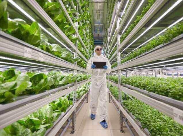 An AgriTech indoor farming solution